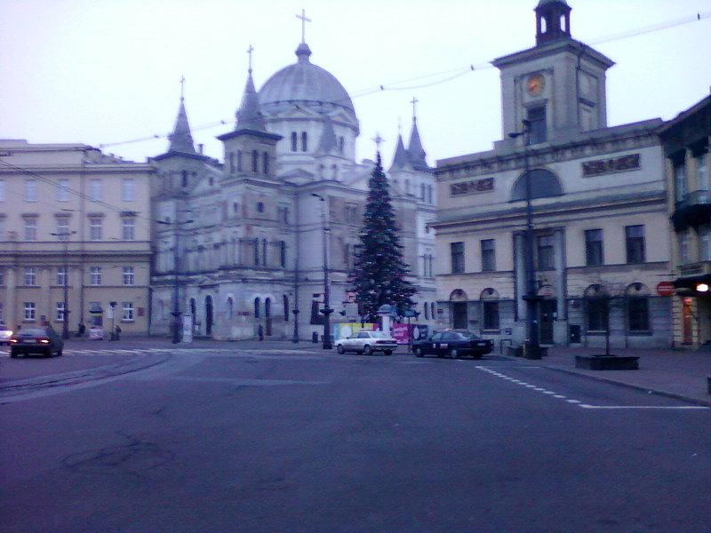 Choinka przy Placu Wolności