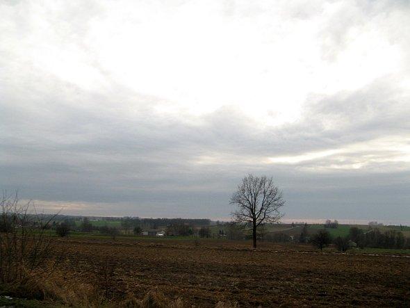 Widok na okolice Wierciszowa
