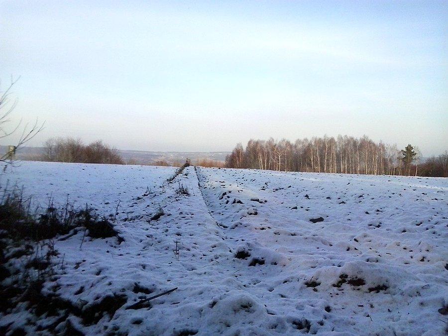 Tu śnieg się jeszcze trzyma, między Strzyżowem a Pstrągową