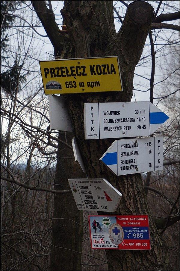 Przełęcz Kozia