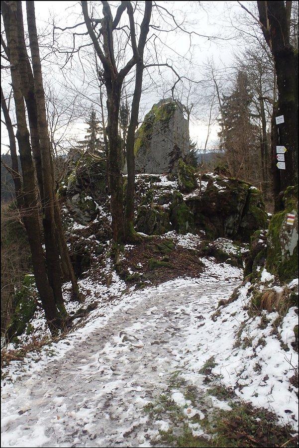 Przy Skalnej Bamie