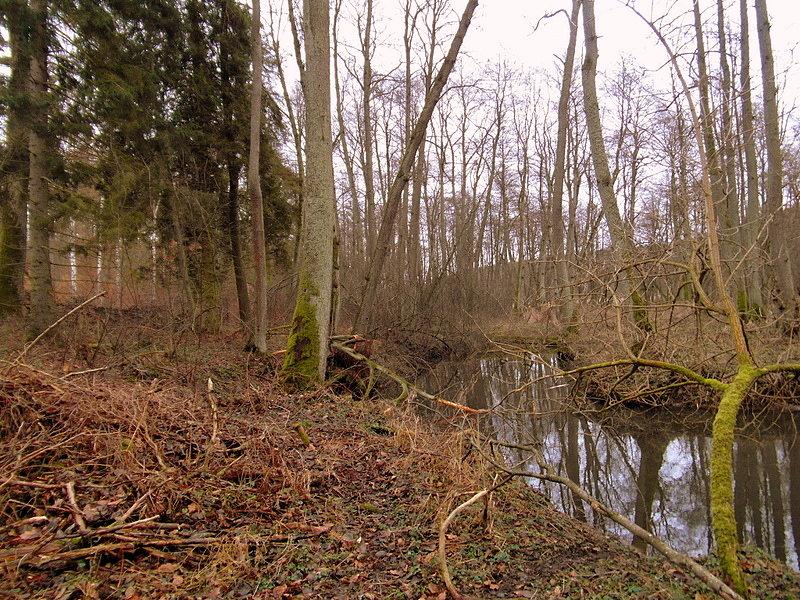Las jesienią