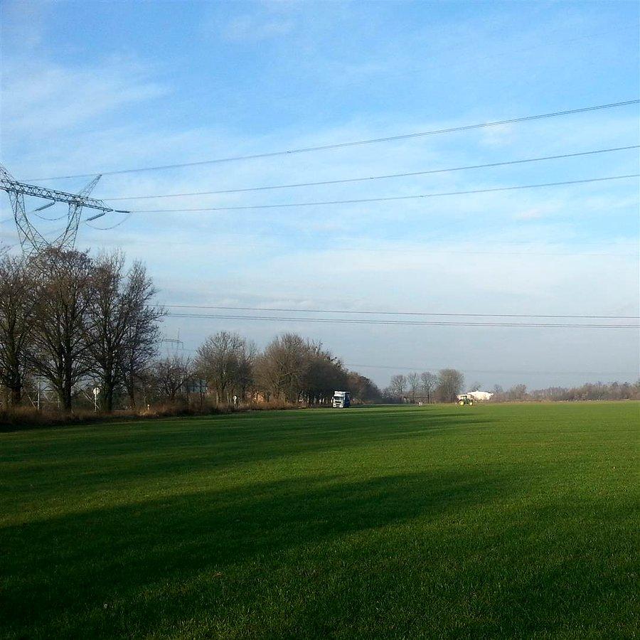 Fabryka trawy Roll-traw