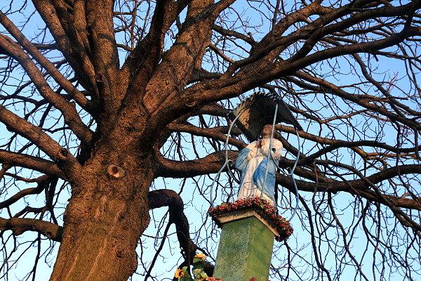 Kapliczka nad Łękawką