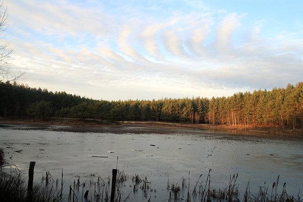Staw koło Sztorcowej Góry