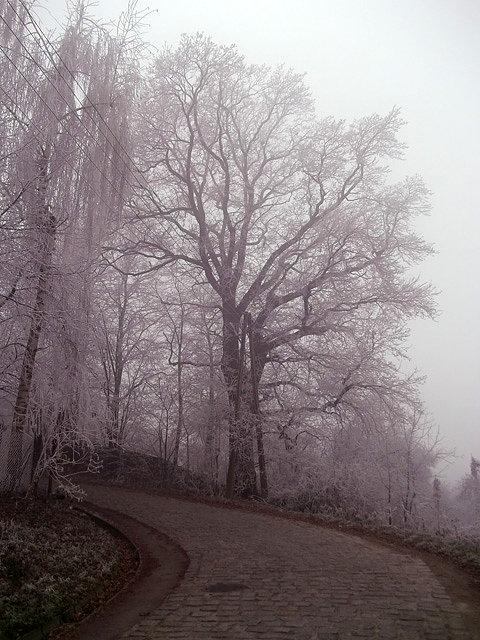 Ul. Mikołaja Kopernika w Wieliczce