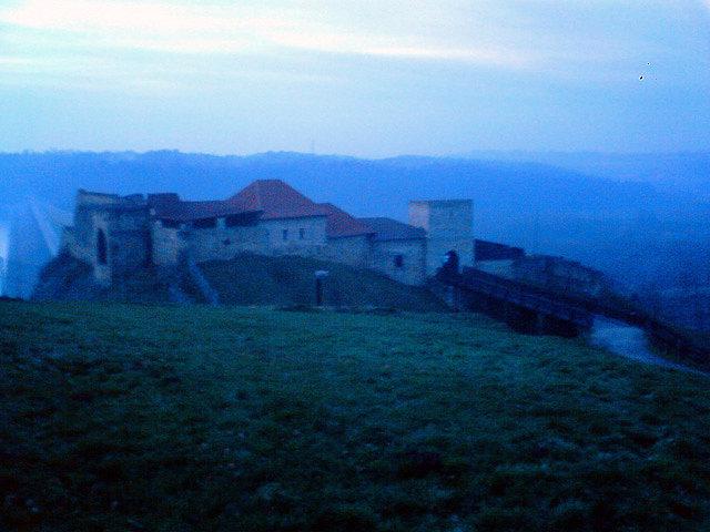 Niewiele widać ale to zamek w Dobczycach ;)