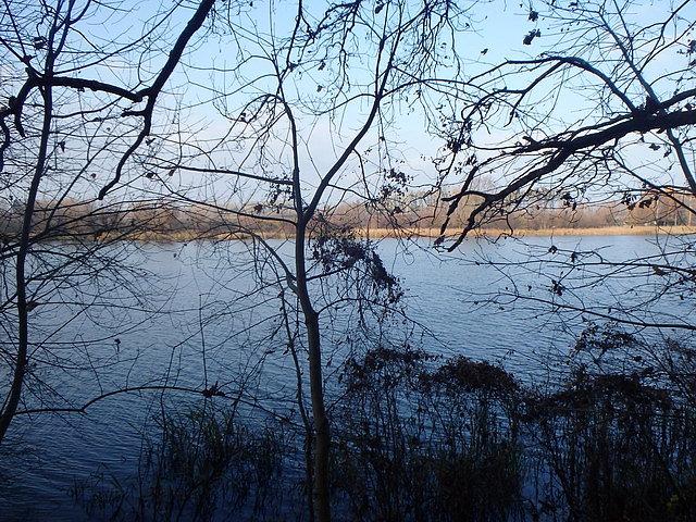 Jezioro Starogrodzkie