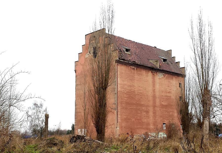 Elewator w Dąbiu