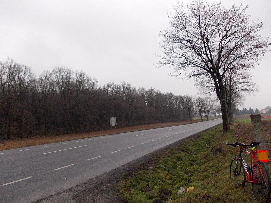 Szaro-buro i ponuro :(