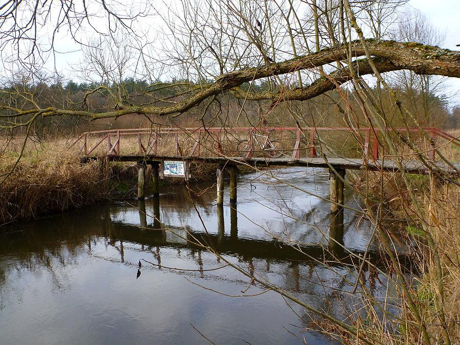 Simplon nad Regą 53°38'14.2"N 15°34'46.6"E