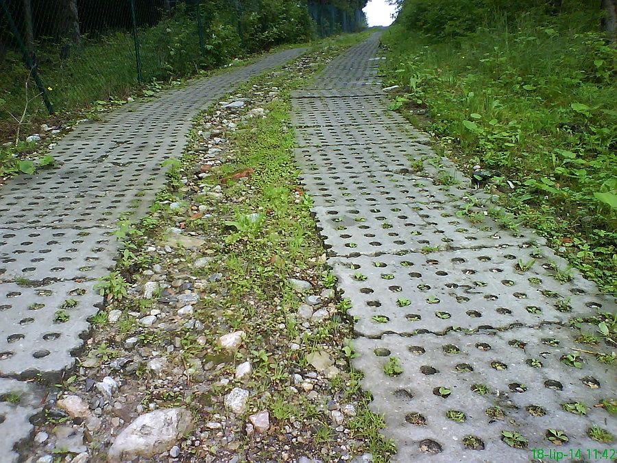 Uczciwy podjazd (zbocza Gubałówki)
