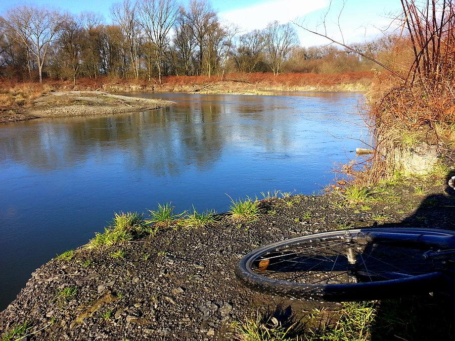 Na ścieżce rowerowej , meandry Odry w okolicy Chalupek