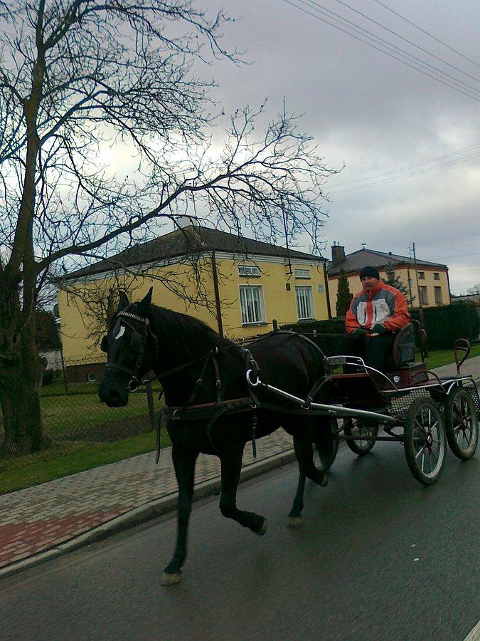 Niektórzy wolą taki pojazd