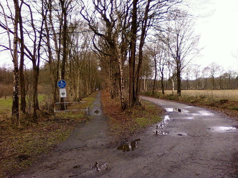 Rowerówka wzdłuż gruntowki