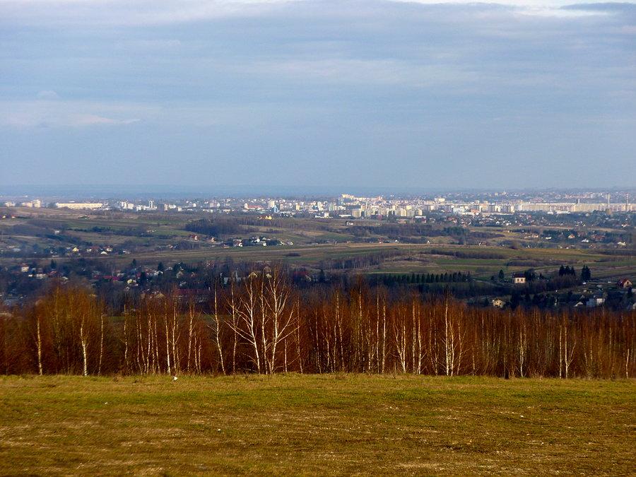 Rzeszów z Niechobrza