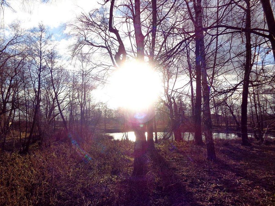 Słonecznie
