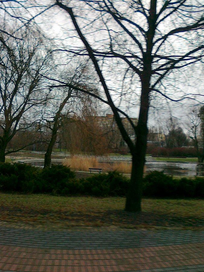 Park Szymańskiego