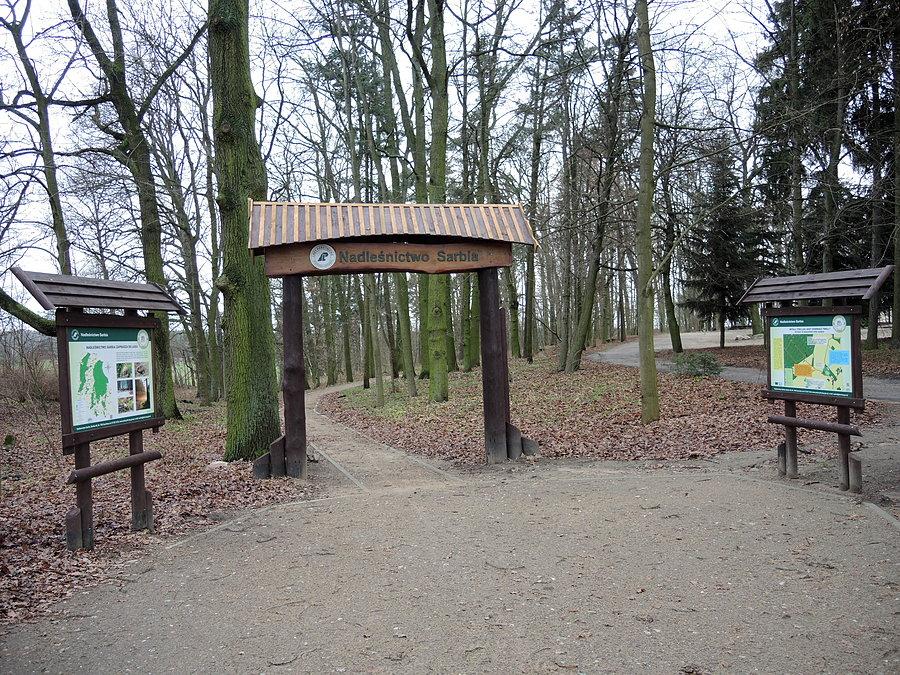 Nadleśnictwo Sarbia - ścieżka przyrodniczo-edukacyjna