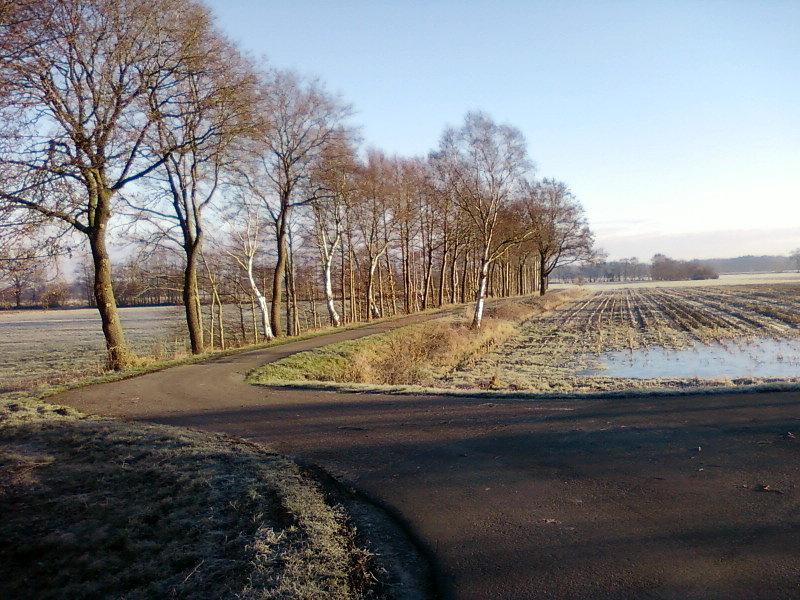 Drogi wśród pól