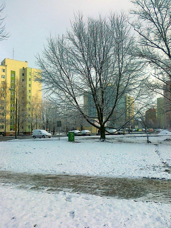Zima zawitała do Warszawy