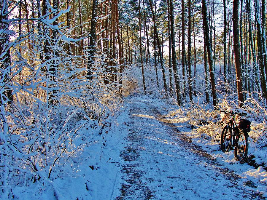 Pierwszy śnieg tej zimy