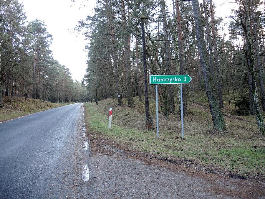 Zjazd na Hamrzysko