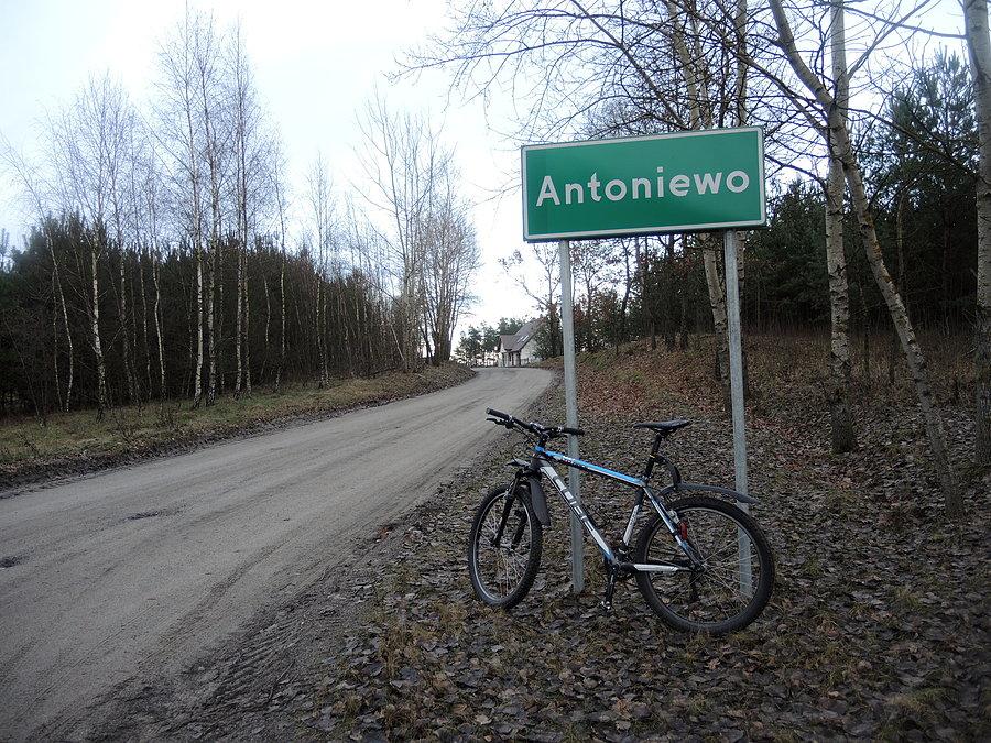 W drodze do Czarnkowa - Antoniewo