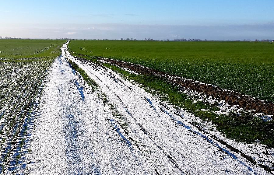 Droga do Wierzbna z pułapkami