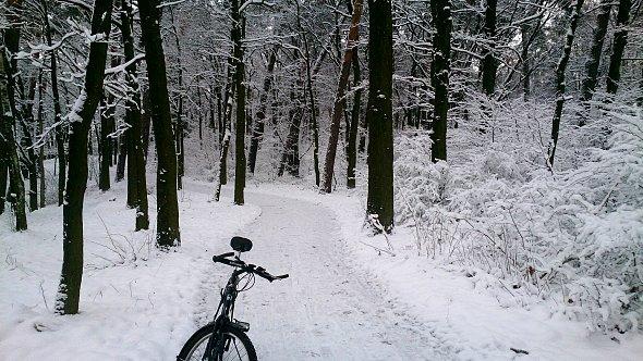 Ścieżka rowerowa nad Zalewem