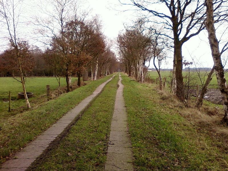 Betonowa polna droga