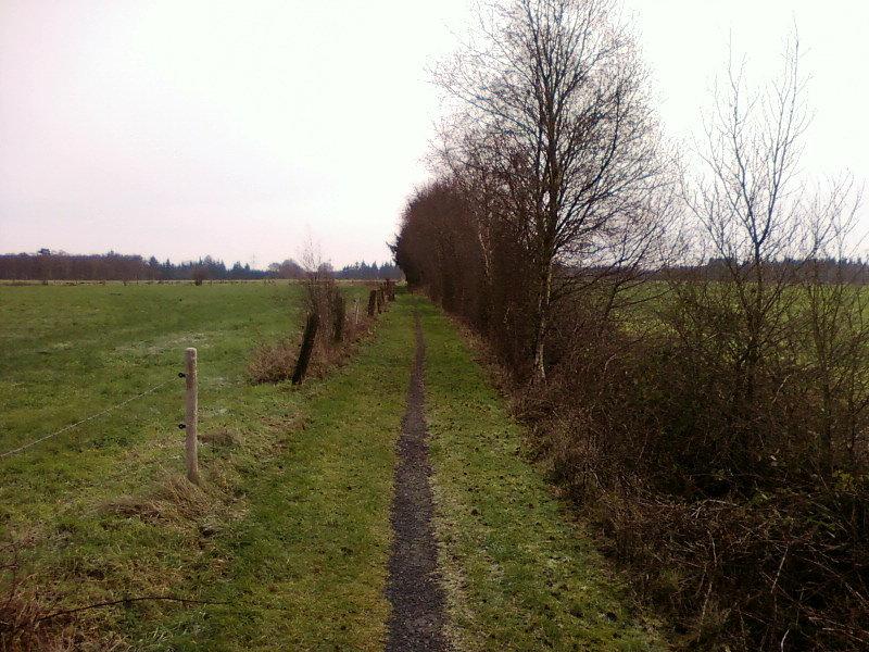 Wąski szlak