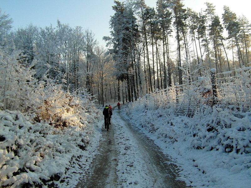 Kierunek Szczerbięcin