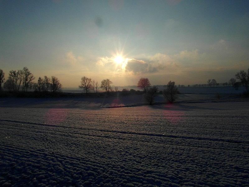 Zimowe słońce