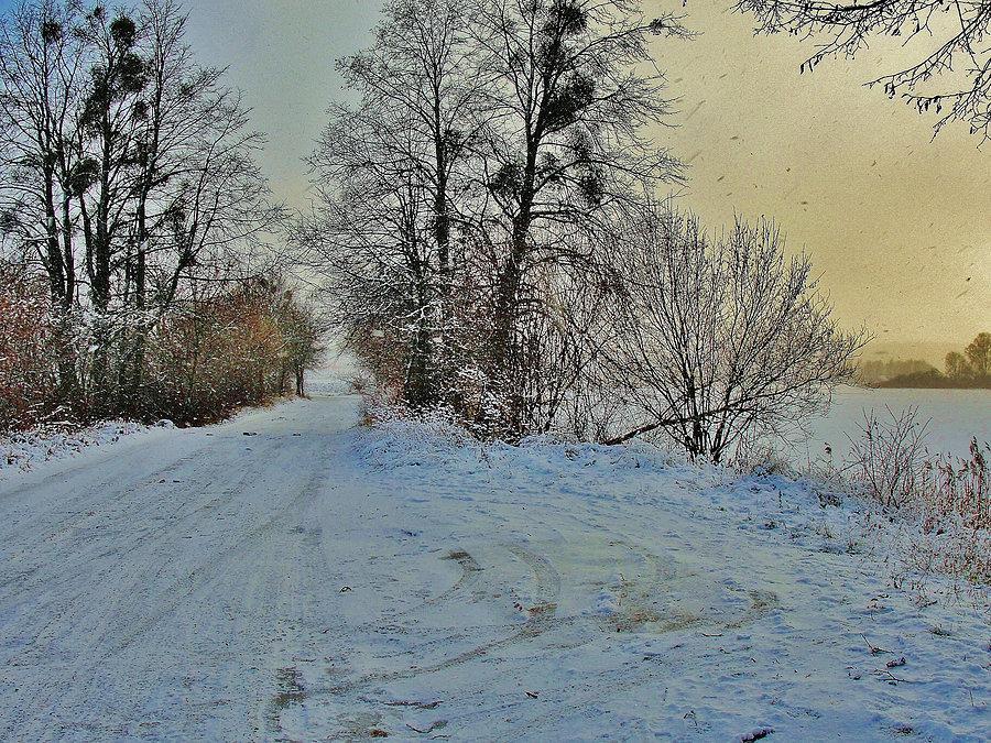 Zima - okolice Lubiszewa