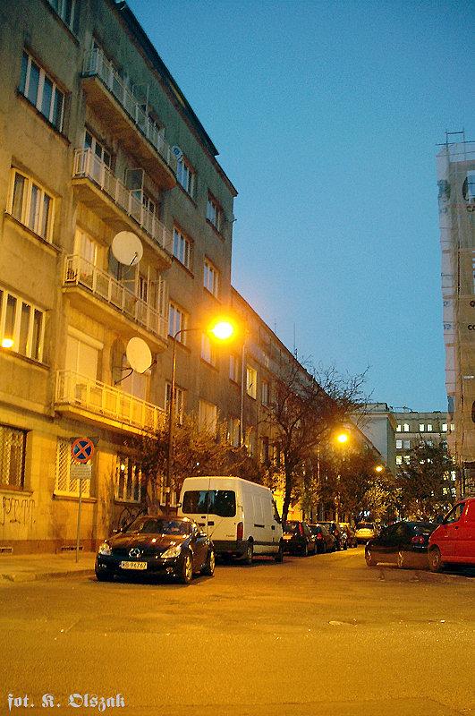 Partyzanci z Oleandrów