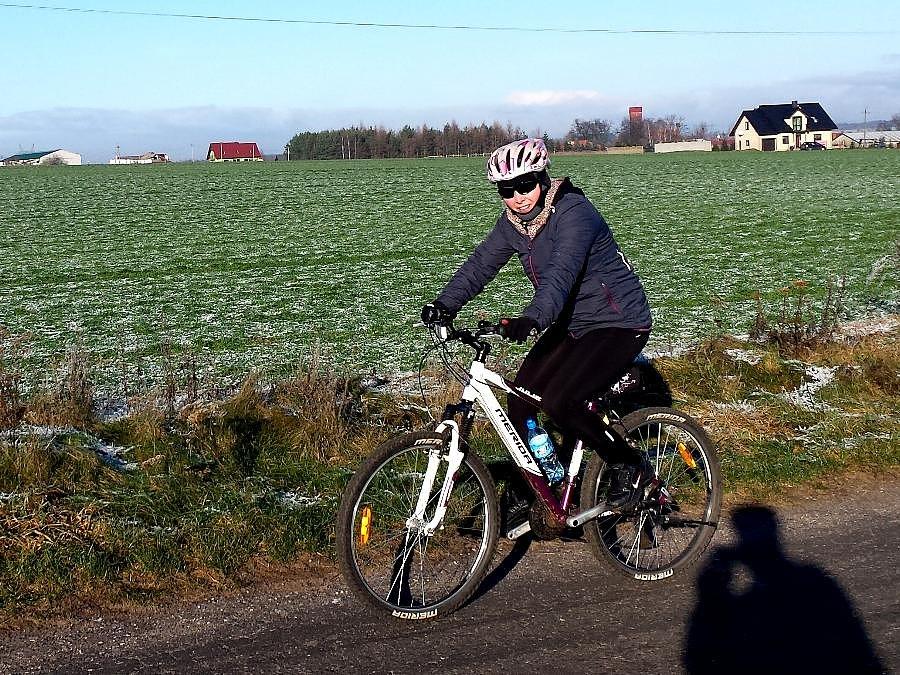 Iwonka w drodze do Grzędzic