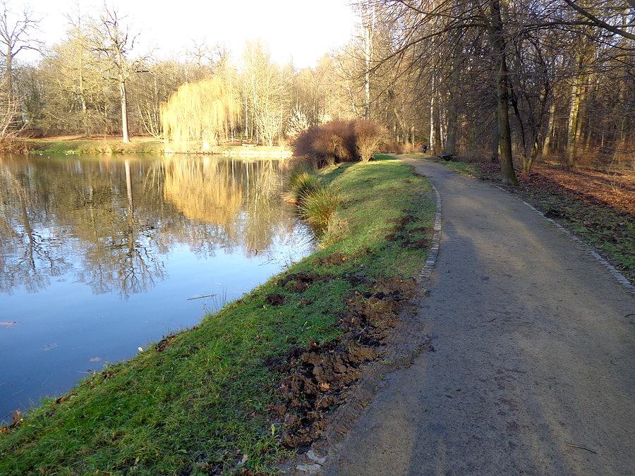 Buchtowisko w Leśnicy