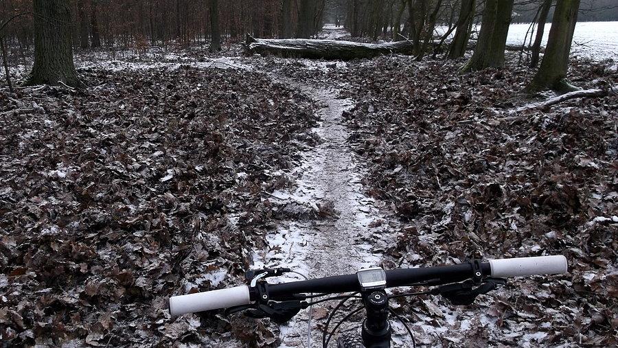 Ostatnio w WPN dziki są wyjątkowo aktywne