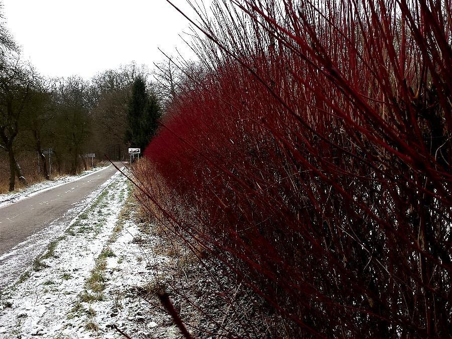 Dobropole Gryfińskie - wyjazd