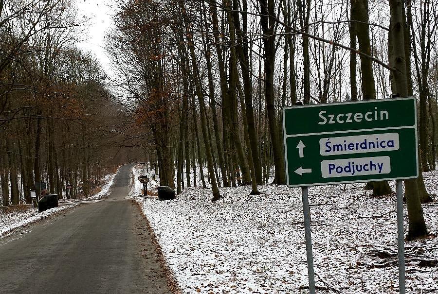 Bukowe - krzyżówka