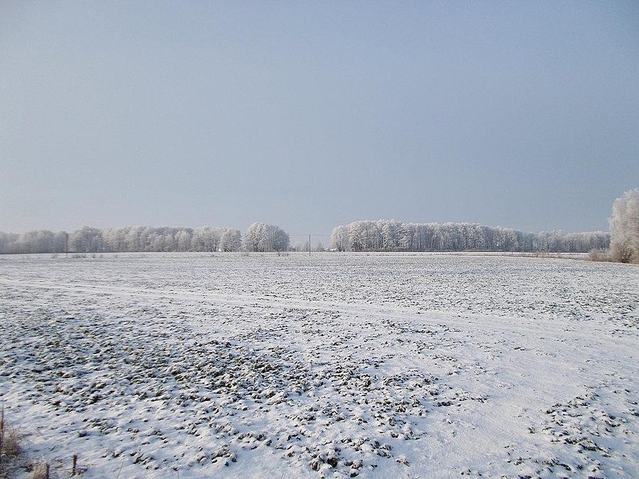 Zimowe Żuławy