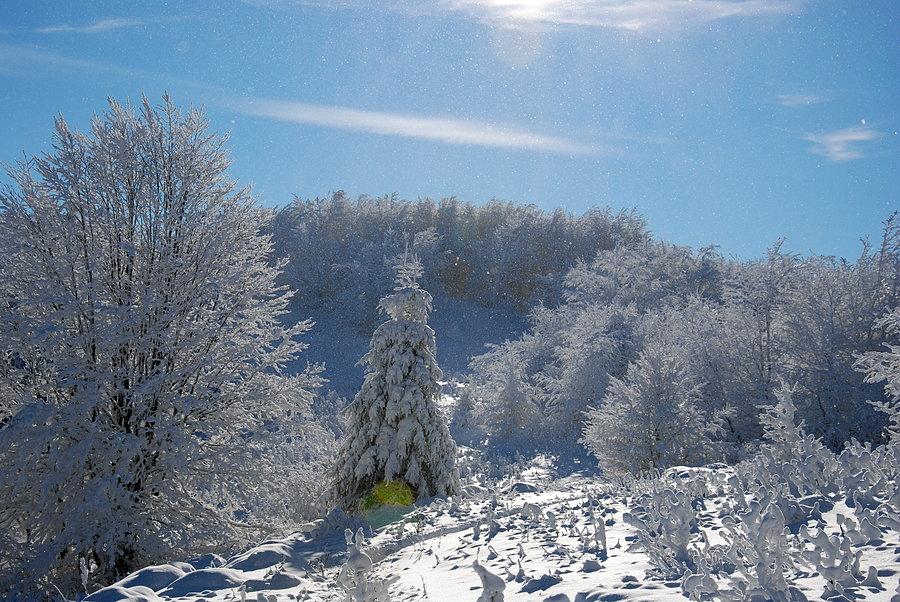 Przed Małym Jasłem