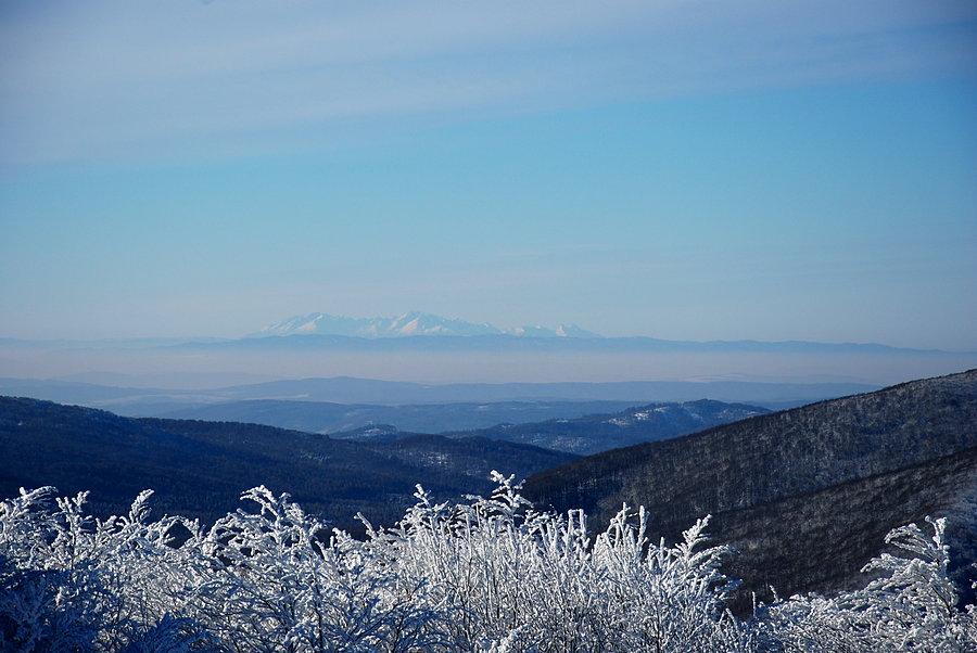 Widok na Tatry spod Jasła