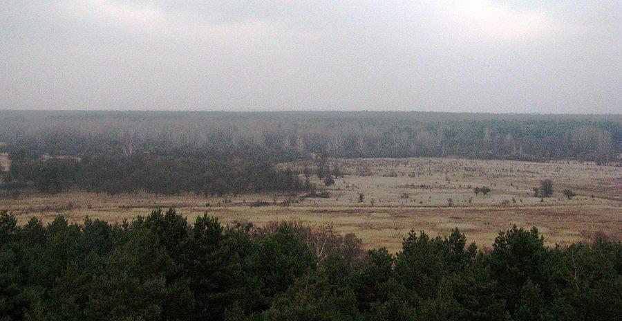 Widok z wieży