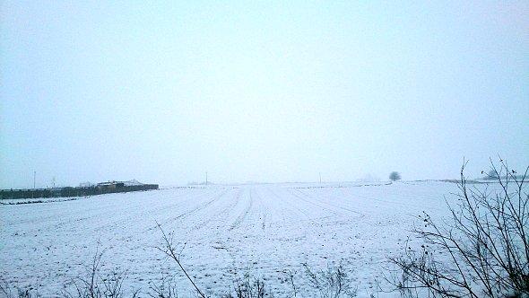 Ośnieżone pola w Nowinach