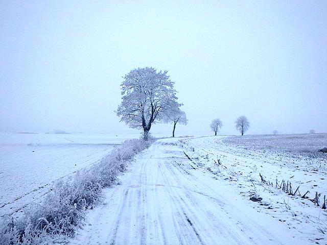 Odcinek szlaku między Słomowem a Siemoniem