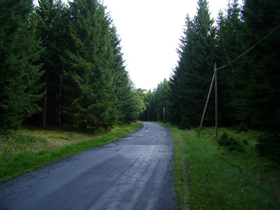 W drodze na Spaloną