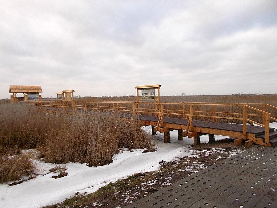 Rezerwat Przyrody Zatoka Elbląska