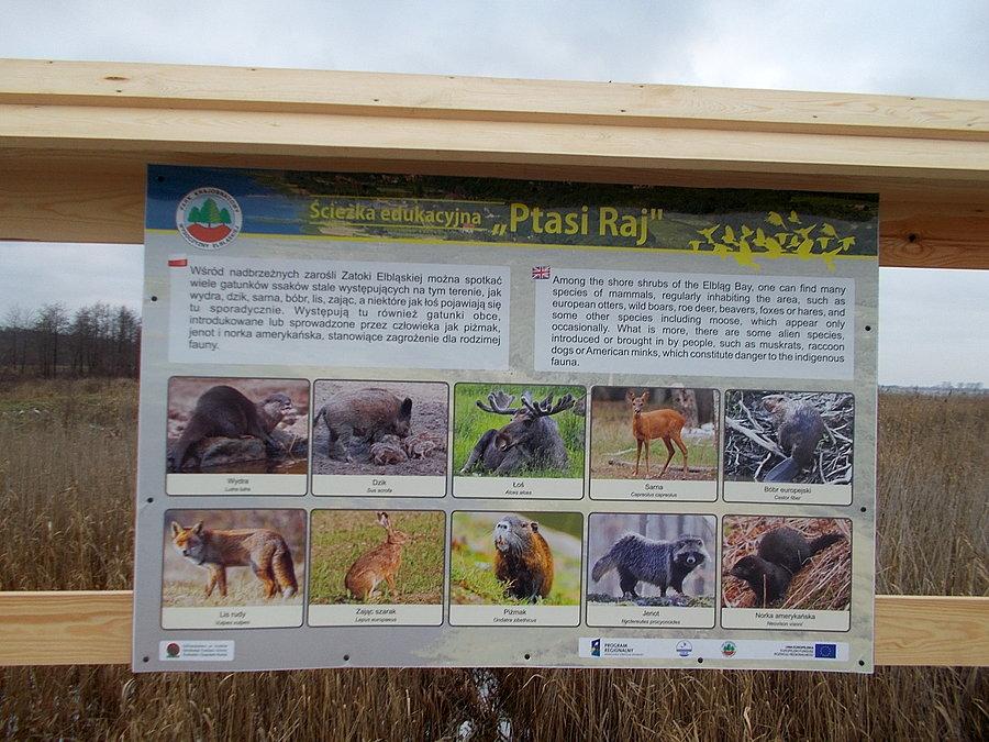 Rezerwat Przyrody Zatoka Elbląska